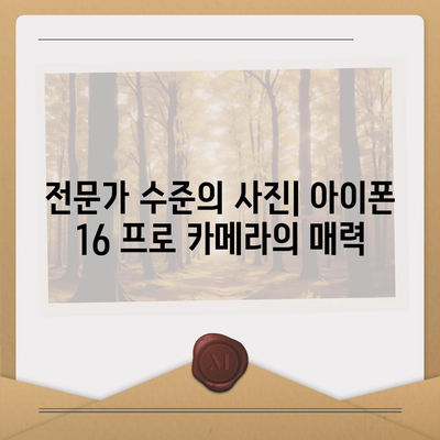 아이폰 16 프로 카메라에 기대를 거는 이유