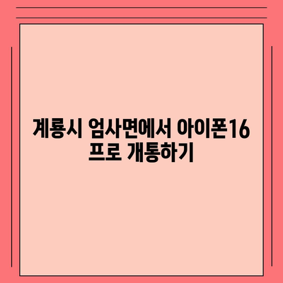 충청남도 계룡시 엄사면 아이폰16 프로 사전예약 | 출시일 | 가격 | PRO | SE1 | 디자인 | 프로맥스 | 색상 | 미니 | 개통