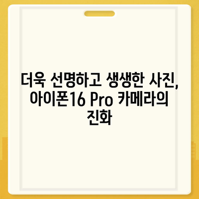 아이폰16 후면 카메라, Pro 모델에 전문적인 사진 기능 제공