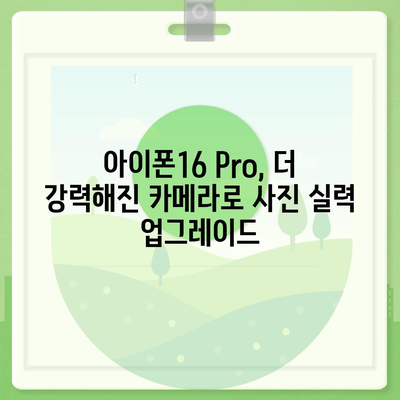 아이폰16 후면 카메라, Pro 모델에 전문적인 사진 기능 제공