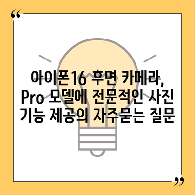 아이폰16 후면 카메라, Pro 모델에 전문적인 사진 기능 제공