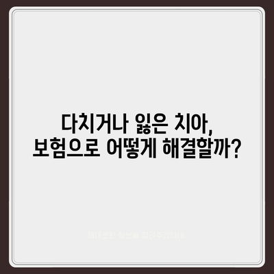 실속 있는 치아 임플란트 보험 | 왜 필요한지 알아보자