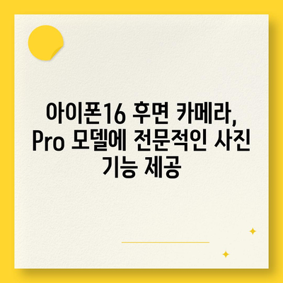 아이폰16 후면 카메라, Pro 모델에 전문적인 사진 기능 제공