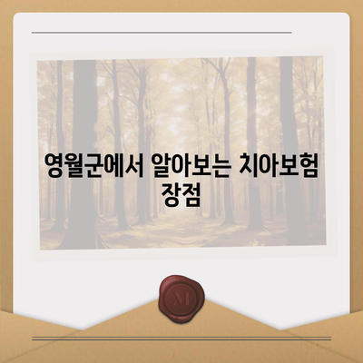 강원도 영월군 중동면 치아보험 가격 | 치과보험 | 추천 | 비교 | 에이스 | 라이나 | 가입조건 | 2024