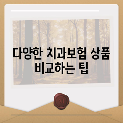 강원도 영월군 중동면 치아보험 가격 | 치과보험 | 추천 | 비교 | 에이스 | 라이나 | 가입조건 | 2024