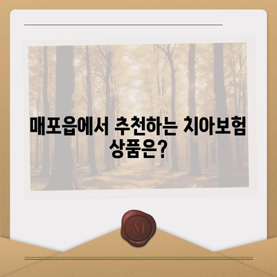 충청북도 단양군 매포읍 치아보험 가격 | 치과보험 | 추천 | 비교 | 에이스 | 라이나 | 가입조건 | 2024