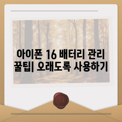 아이폰 16 배터리 관리 | 오래도록 배터리 건강 유지