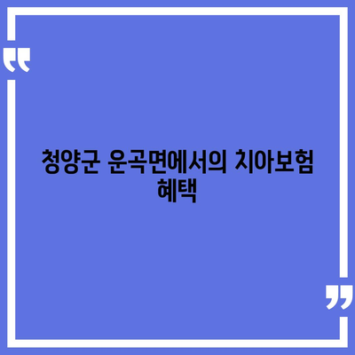 충청남도 청양군 운곡면 치아보험 가격 | 치과보험 | 추천 | 비교 | 에이스 | 라이나 | 가입조건 | 2024