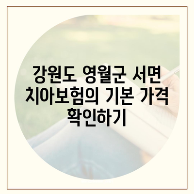 강원도 영월군 서면 치아보험 가격 | 치과보험 | 추천 | 비교 | 에이스 | 라이나 | 가입조건 | 2024