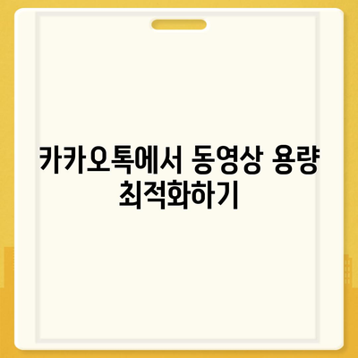 카카오톡 동영상