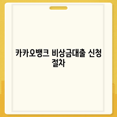 카카오뱅크 비상금대출 방법