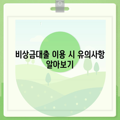 카카오뱅크 pc버전 비상금대출거절