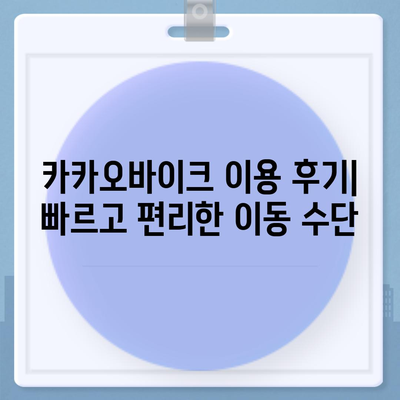 카카오바이크 이용 후기와 안전 주의 사항