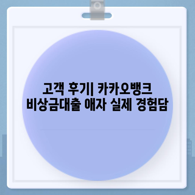 카카오뱅크 비상금대출 애자