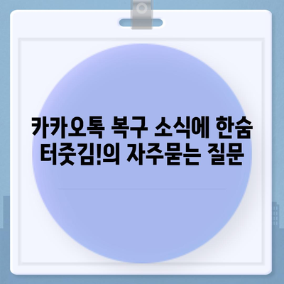 카카오톡 복구 소식에 한숨 터줏김!