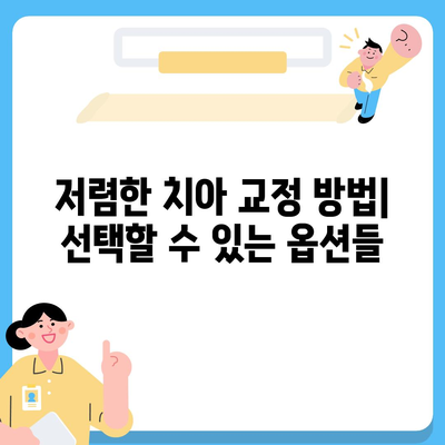 치아 교정 치료에 대한 비용 효율적인 옵션