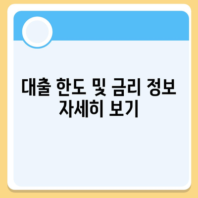 카카오뱅크 pc버전 비상금대출조건