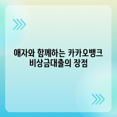 카카오뱅크 pc버전 비상금대출 pc버전 애자