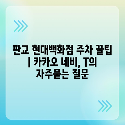 판교 현대백화점 주차 꿀팁 | 카카오 네비, T