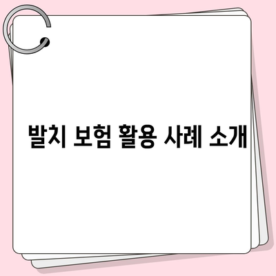 발치 보험 비교 웹사이트의 100% 활용 가이드