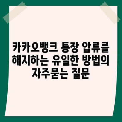 카카오뱅크 통장 압류를 해지하는 유일한 방법