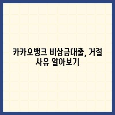 카카오뱅크 pc버전 비상금대출 pc버전 거절