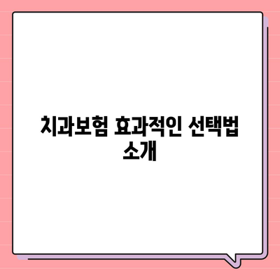 제주도 서귀포시 안덕면 치아보험 가격 | 치과보험 | 추천 | 비교 | 에이스 | 라이나 | 가입조건 | 2024