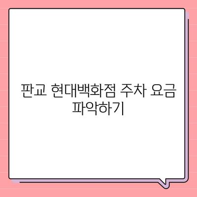 판교 현대백화점 주차 꿀팁 | 카카오 네비, T