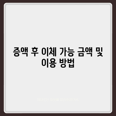 카카오뱅크 pc버전 이체한도 증액