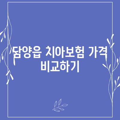 전라남도 담양군 담양읍 치아보험 가격 | 치과보험 | 추천 | 비교 | 에이스 | 라이나 | 가입조건 | 2024