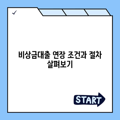 카카오뱅크 비상금대출 연장