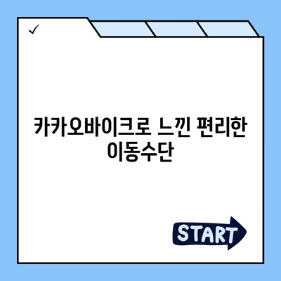 카카오바이크 이용 후기