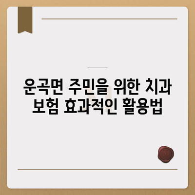 충청남도 청양군 운곡면 치아보험 가격 | 치과보험 | 추천 | 비교 | 에이스 | 라이나 | 가입조건 | 2024