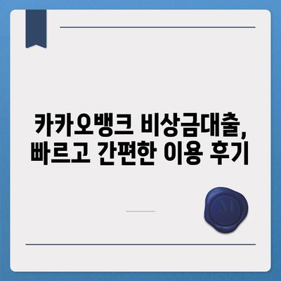 카카오뱅크 pc버전 비상금대출신청