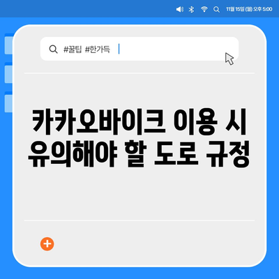 카카오바이크 이용 후기와 안전 주의 사항