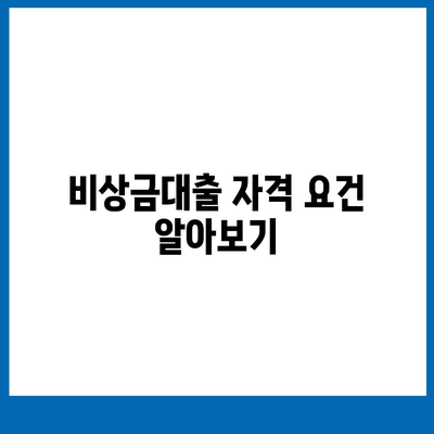 카카오뱅크 비상금대출 방법