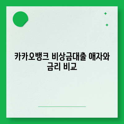 카카오뱅크 비상금대출 애자