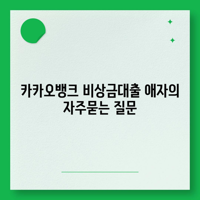 카카오뱅크 비상금대출 애자