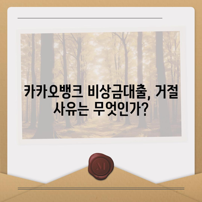 카카오뱅크 pc버전 비상금대출거절