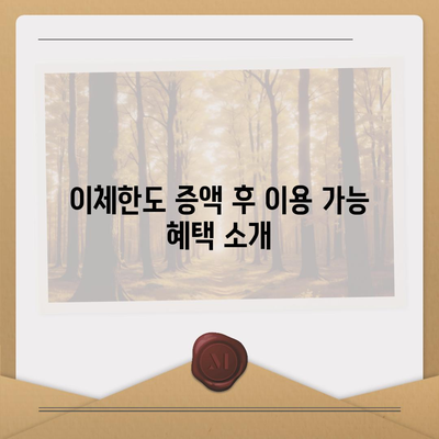 카카오뱅크 pc버전 이체한도 증액