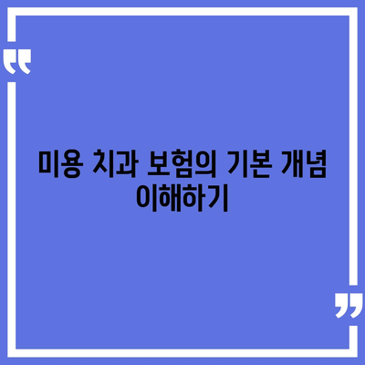 미용 치과 보험으로 치아 건강 유지하는 법