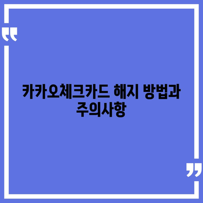 카카오체크카드 신청, 발급, 해지에 대한 가이드