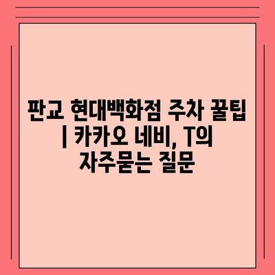 판교 현대백화점 주차 꿀팁 | 카카오 네비, T