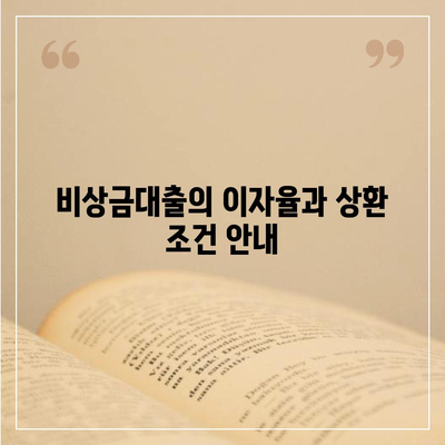 카카오뱅크 pc버전 비상금대출 pc버전 상환