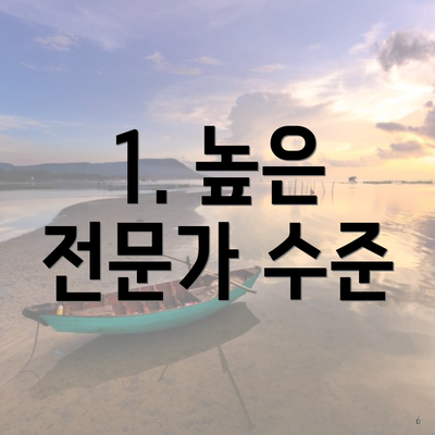 1. 높은 전문가 수준