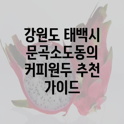 강원도 태백시 문곡소도동의 커피원두 추천 가이드