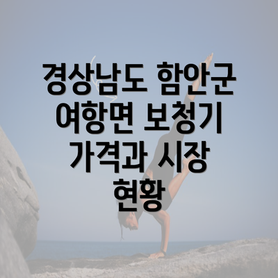 경상남도 함안군 여항면 보청기 가격과 시장 현황