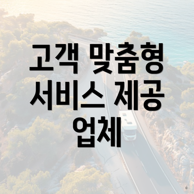 고객 맞춤형 서비스 제공 업체