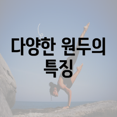 다양한 원두의 특징