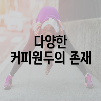 다양한 커피원두의 존재